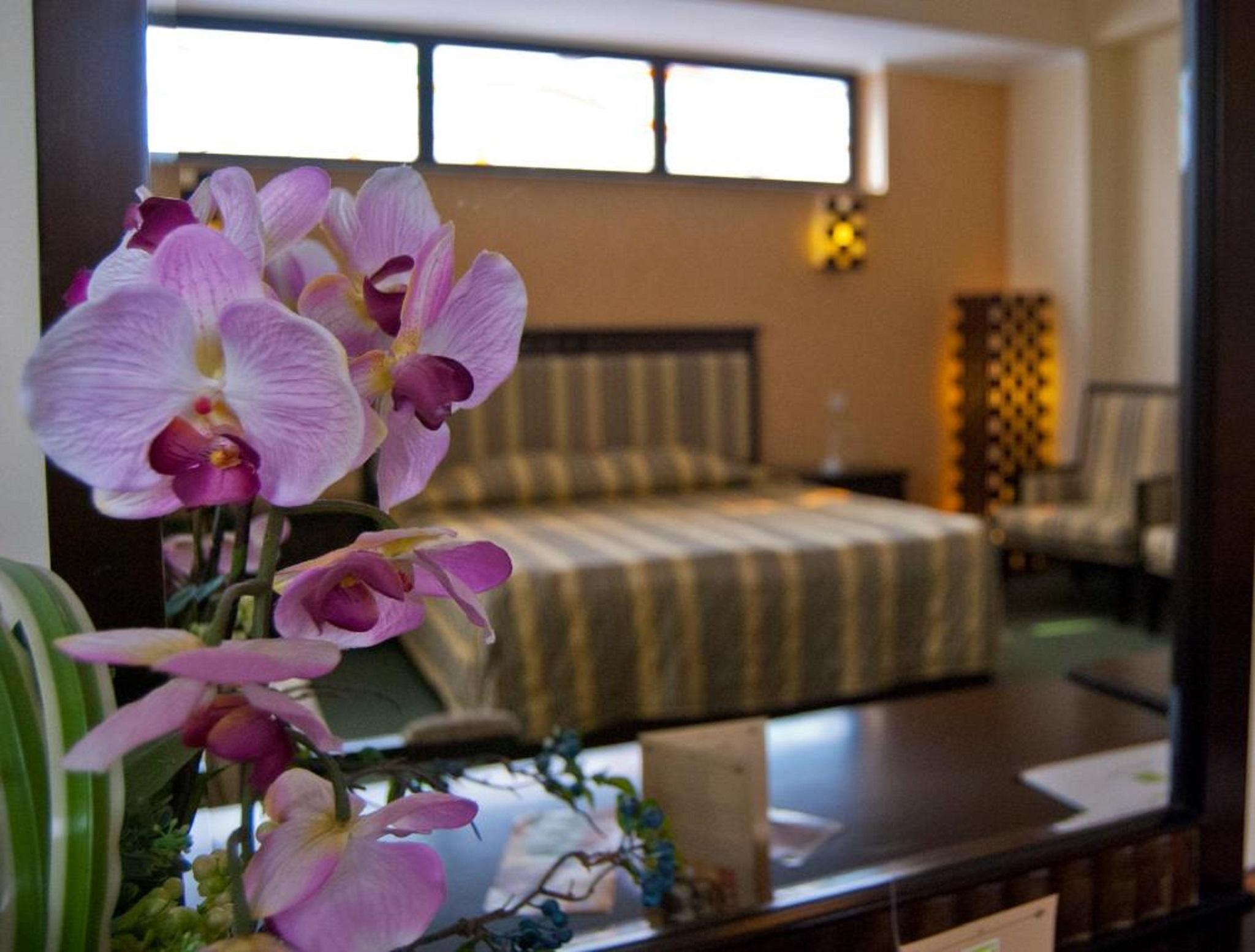 Hotel Tecadra Pipera Ngoại thất bức ảnh